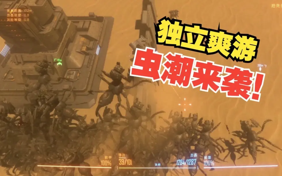 虫潮/Insect Swarm