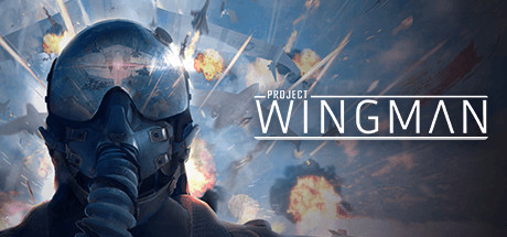 僚机计划 (Project Wingman)